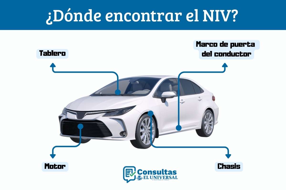 Dónde encontrar el NIV de mi auto